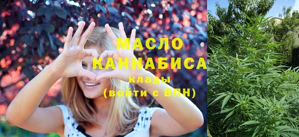 индика Алексин