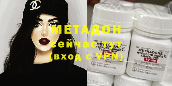 индика Алексин