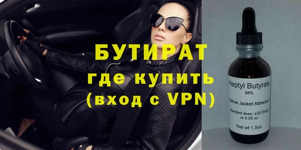 индика Алексин