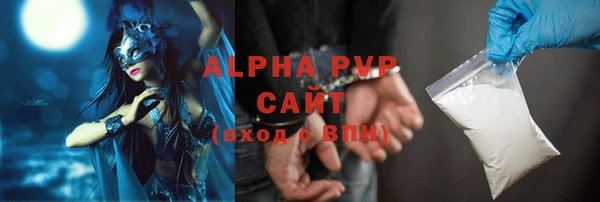 индика Алексин