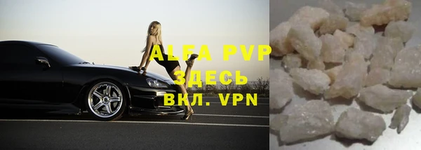 индика Алексин