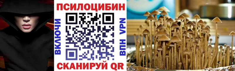 Псилоцибиновые грибы Psilocybine cubensis  Купить где  Неман 